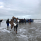 Image for article titled Photos: What happens when a cargo ship loses 270 containers at sea